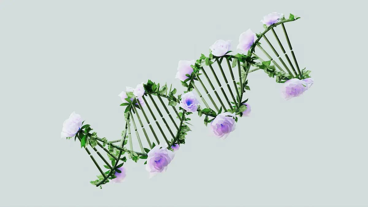 DNA Structure - Health and Beauty
